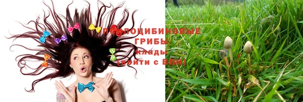 ECSTASY Абаза
