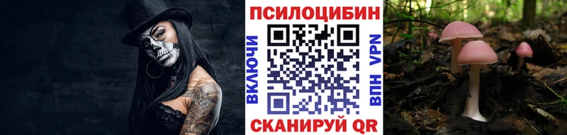 Псилоцибиновые грибы Magic Shrooms Енисейск